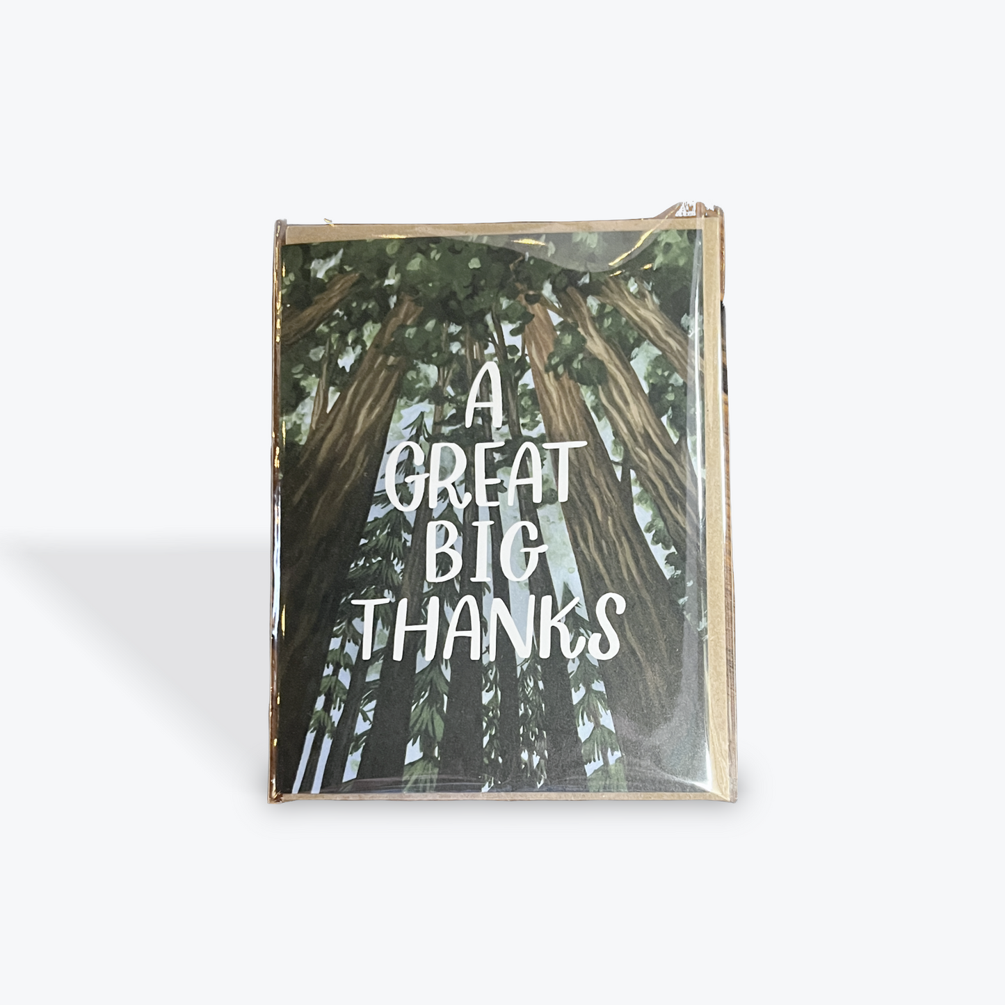 Handmade greeting card with colorful Barnstone Goose design