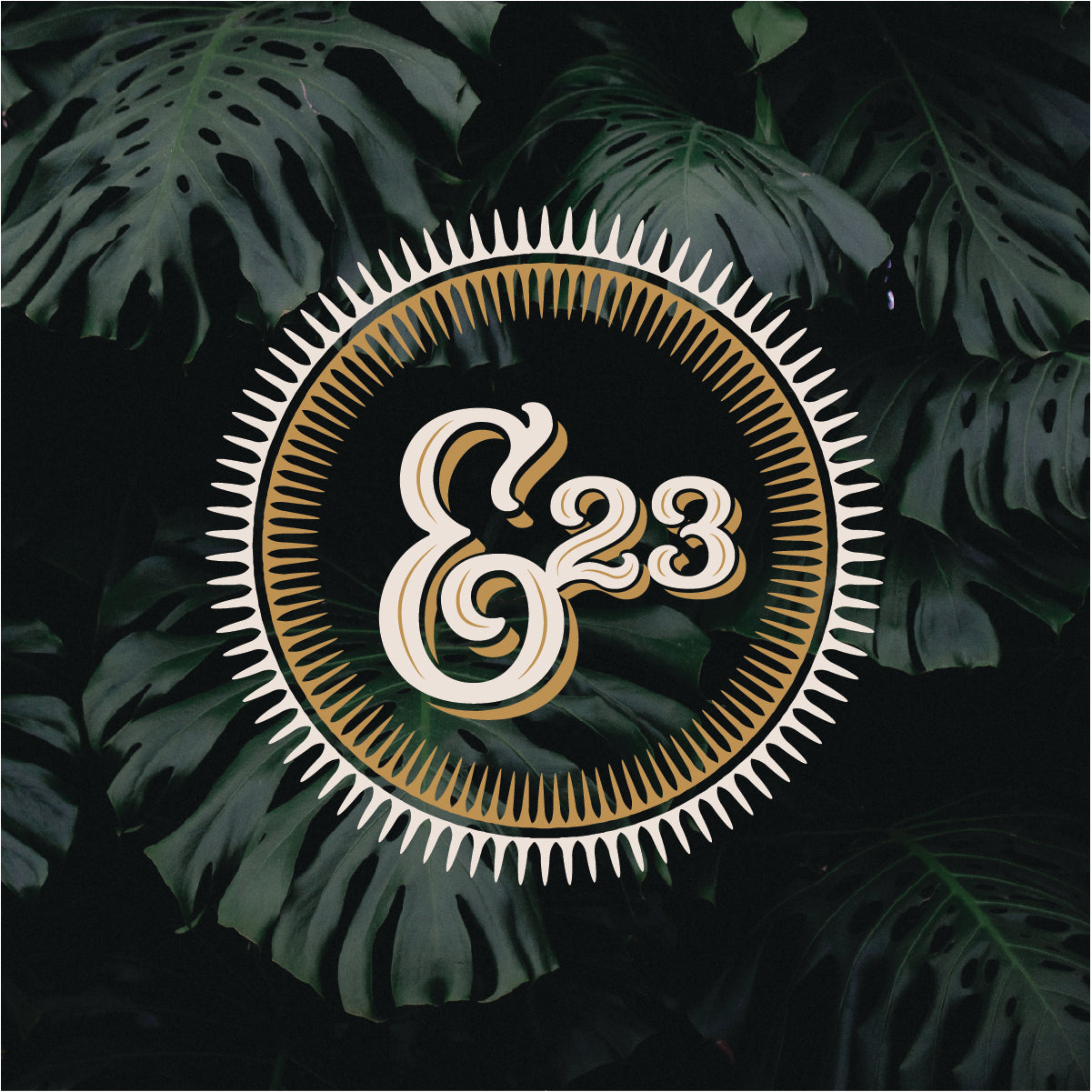 Emporium 23 boutique gift card redeemable online or in Newton NC