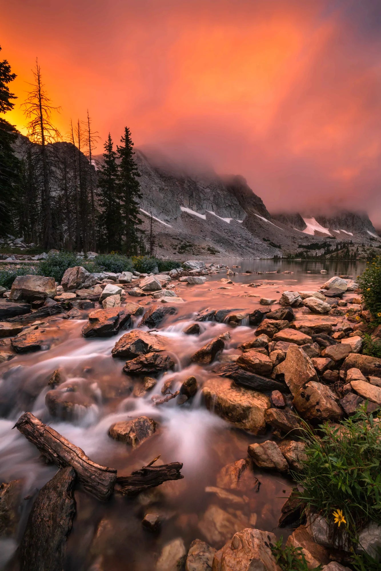 Tyler King landscape photography print on aluminum panel