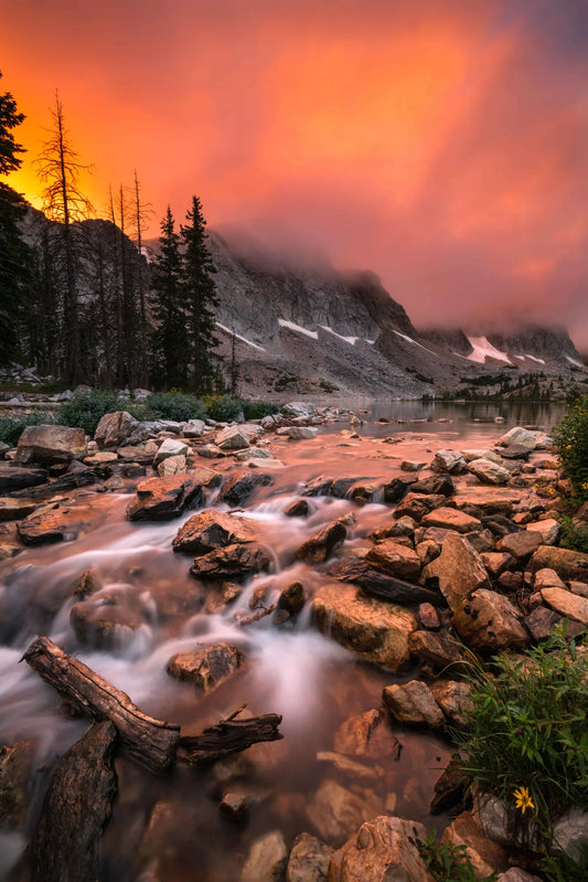 Tyler King landscape photography print on aluminum panel